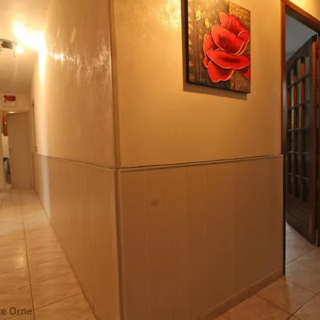 Calme Et Spacieuse Près Du Haras Du Pin - Fr-1-497-173